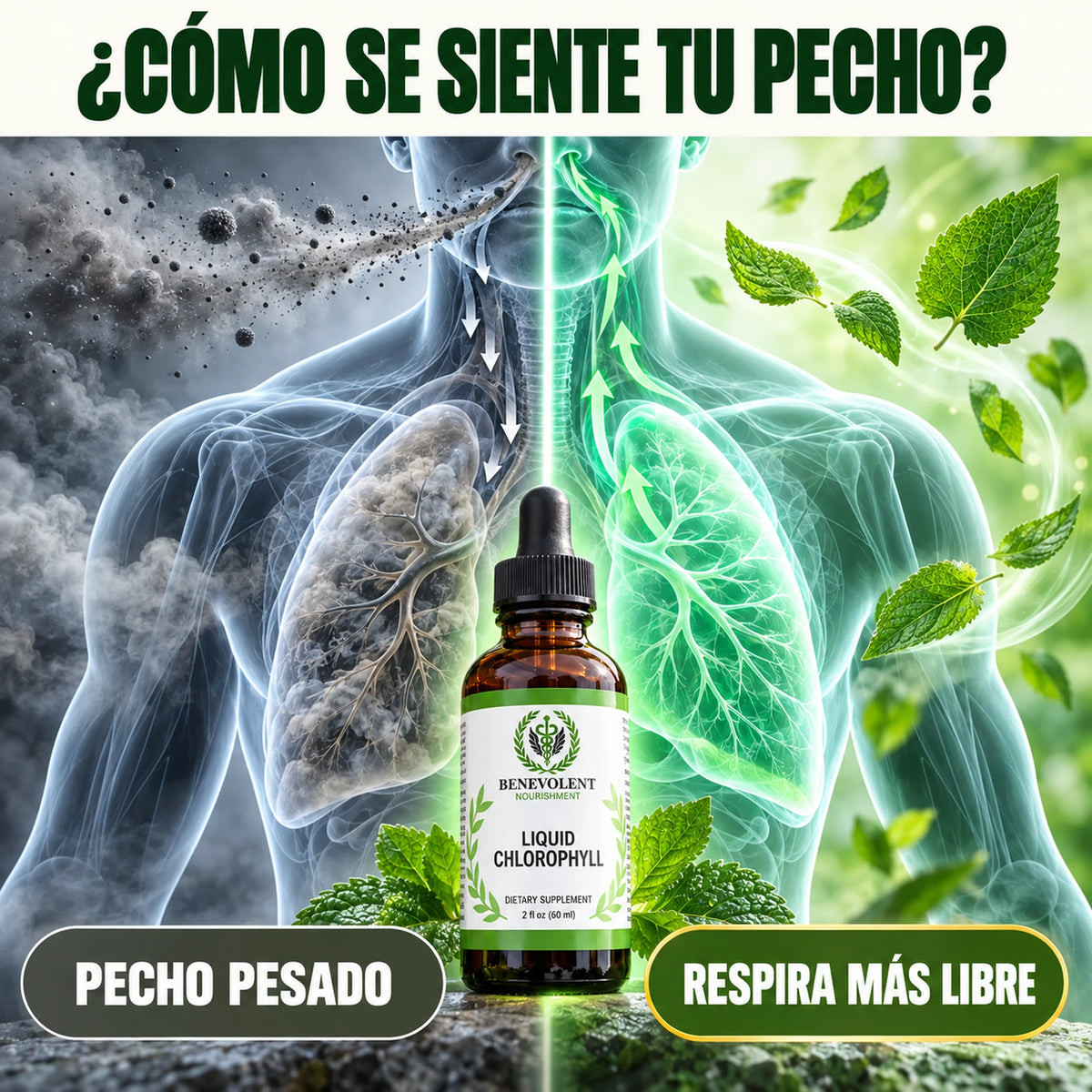¿Cómo se siente tu pecho? Comparación entre pecho pesado por el humo y el smog y respirar más libre, con la Clorofila Líquida