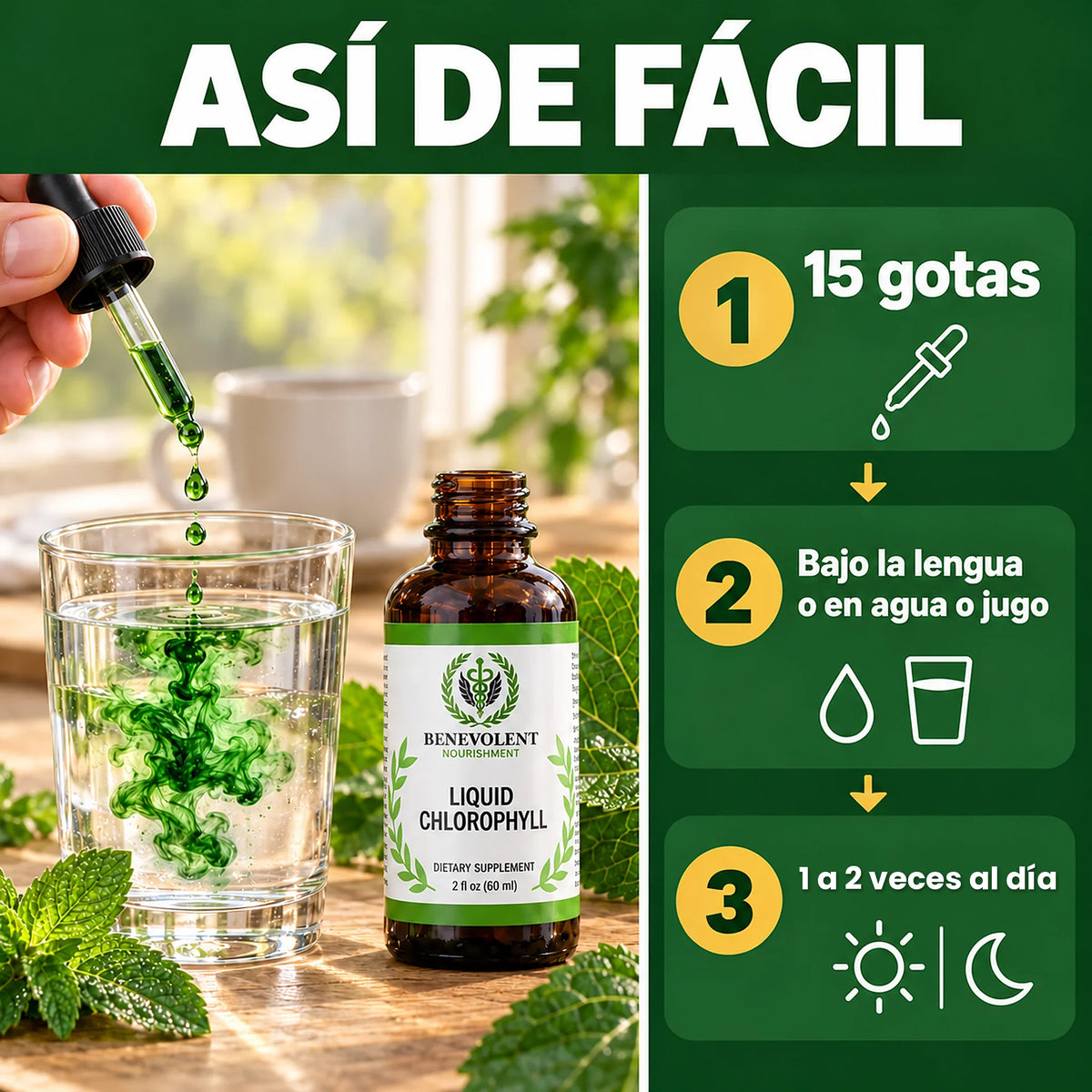 Frasco de Clorofila Líquida con gotero: 15 gotas bajo la lengua o en agua o jugo, 1 a 2 veces al día