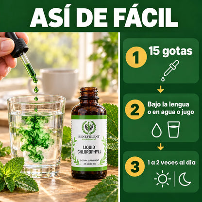 Frasco de Clorofila Líquida con gotero: 15 gotas bajo la lengua o en agua o jugo, 1 a 2 veces al día