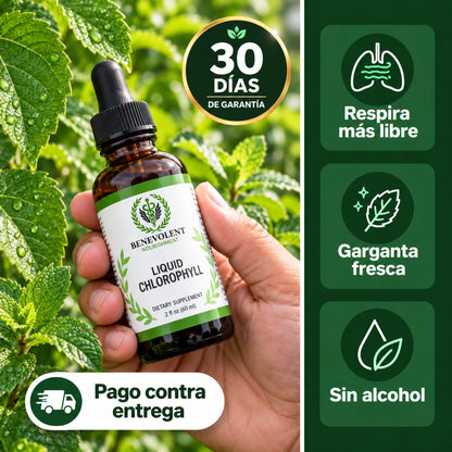 Clorofila Líquida Benevolent Nourishment con hoja de morera y menta, pago contra entrega y 30 días de garantía